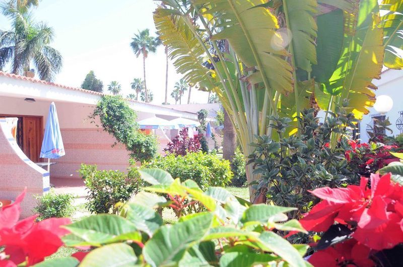 San Valentin & Terraflor Park Hotel Playa del Ingles  Ngoại thất bức ảnh