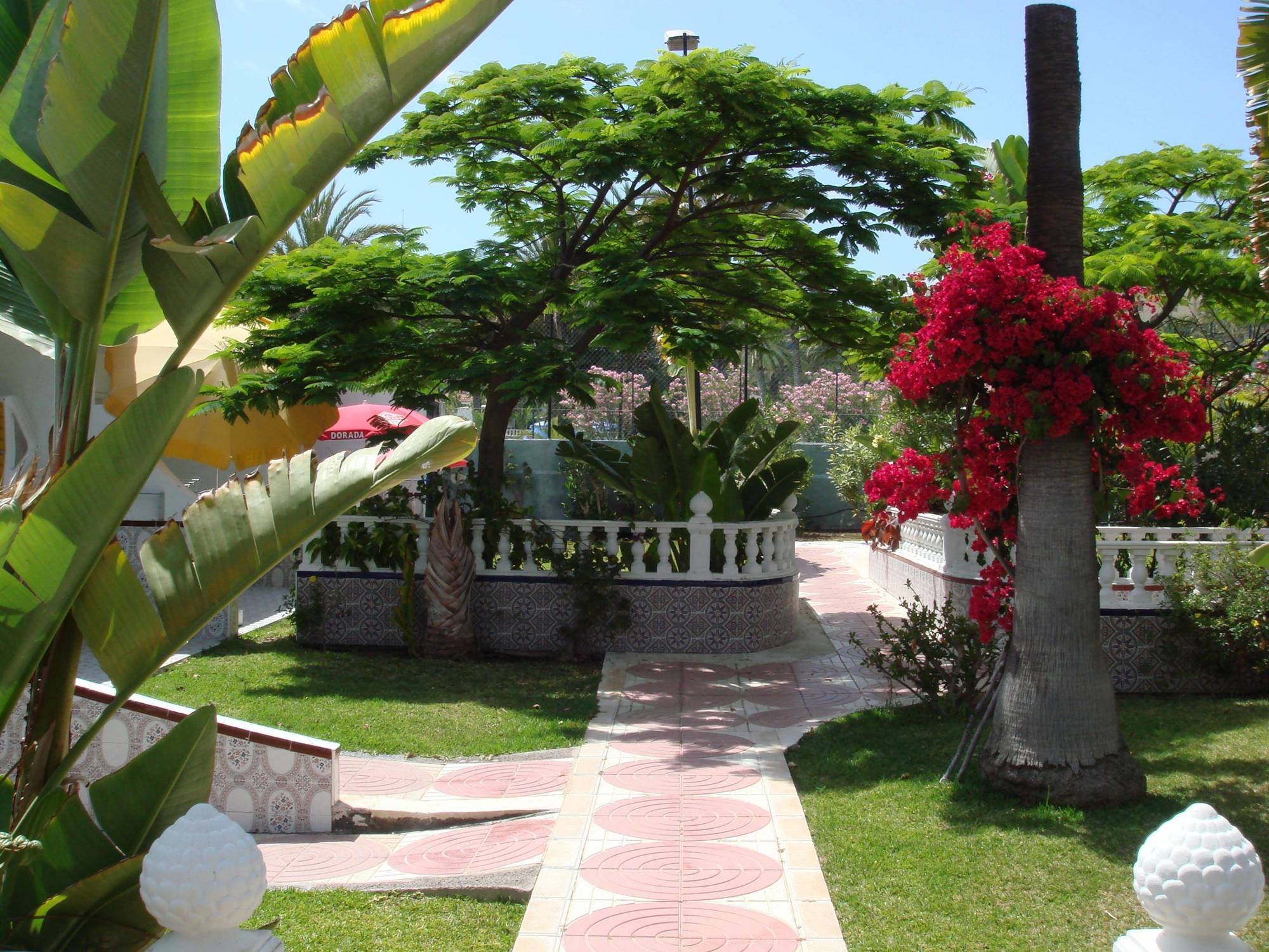 San Valentin & Terraflor Park Hotel Playa del Ingles  Ngoại thất bức ảnh